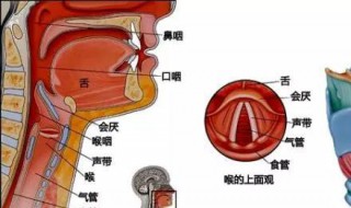 初学唱歌发声方法 希望对大家有所帮助