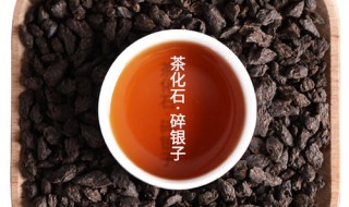 茶化石是什么茶 是一种普洱茶