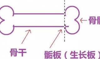 骨骺线闭合的3大标志 看你家小孩还可不可以再长高