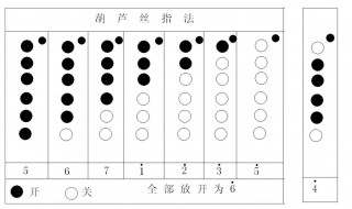 初学葫芦丝指法入门 超适合初学者