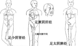 大腿根部中间是什么穴位 你了解吗