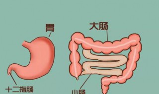 胃钙灶化是什么意思 不会是什么大病吧