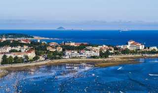 青岛海拔多高 地势如何