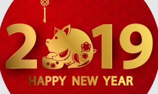 2019年有多少天 今年发生了什么大事