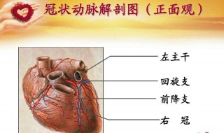 冠心病能活10年吗 别太担心 积极治疗