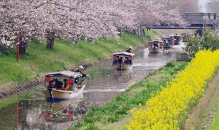 八幡堀旅游攻略 漫步历史水乡日本“威尼斯“