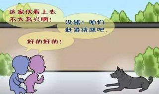 打防犬疫针后可洗澡吗 需要注意什么