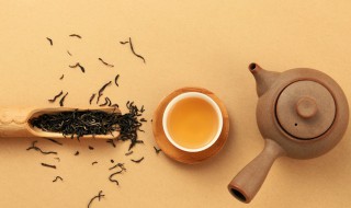 适合用茶壶泡的茶叶有哪些 什么茶适合用茶壶来泡