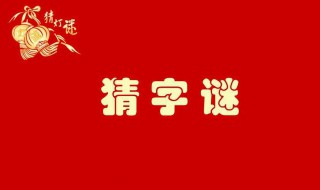 泡的字谜 有关泡字的谜语