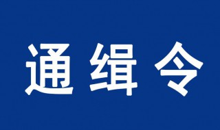 通缉一个人怎么查询 什么是身份证号码