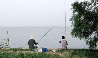 霜降钓鱼钓深还是浅 饵料该怎么选择