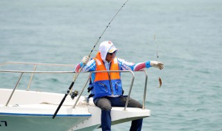 海钓鲈鱼在什么水层 海钓鲈鱼的最佳时机是什么