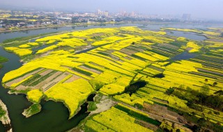 成都平原指哪里 成都平原的地理范围