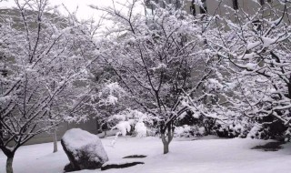 下雪早晨问候语 亲戚朋友都适用