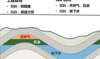 地下石油是怎样形成的 说出来你可能不信