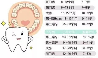 男孩换牙时间 男孩换牙时间介绍