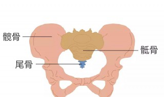 骨盆修复手法步骤 怎么修复骨盆