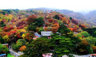 合川万亩枫林景区详细地址 需要门票吗