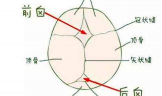 2岁囟门未闭合怎么办 小孩2岁囟门还没闭合是怎么回事