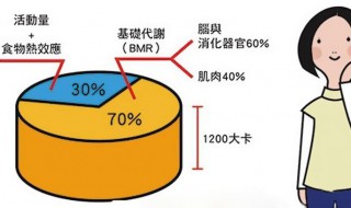 邱医生计算基础代谢公式 值得一看