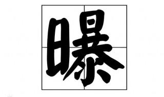 曝的多音字组词 中文汉字的多音字