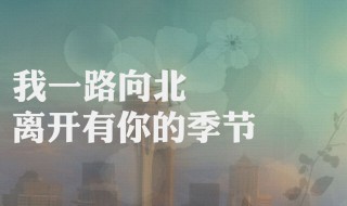 一路向北歌词寓意 歌词讲述的是什么