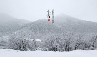 小雪节气的诗句 4首唯美小雪诗词