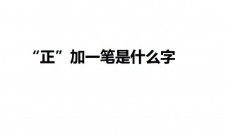 正字加一笔有多少个字 并用其一造三个句子