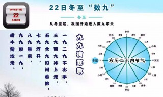 冬至是开始数九寒天了吗 南方冬至会吃汤圆吗