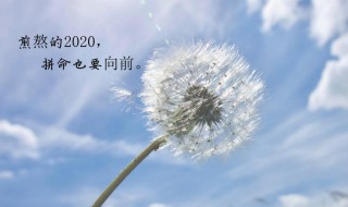 2020年跨年是几月几日 2019年12月31日