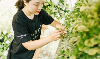 花艺师资格证怎么考 花艺师考试流程