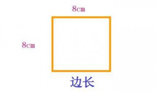 正方形面积 你学会了吗