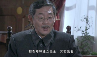 王志新叫什么电视剧 该剧的剧情简介