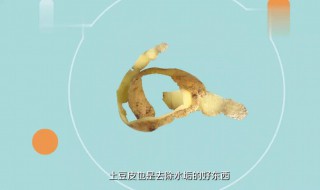 怎么样清洗水垢 下面6种方法可供选择