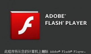 flash不小心删了怎么办 实用方法介绍