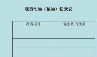 植物记录卡怎么做 小学生 最好看的格式