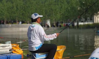 冬季黑坑糗鱼技巧 糗鱼饵料怎么选择