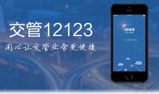 科四考完12123显示什么 这里有具体的说明快来看一看