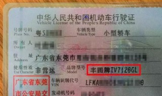 行驶证怎么看国5 查询方法介绍