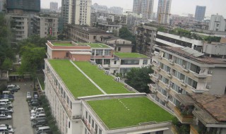 楼顶无土种植知识 楼顶无土栽培的优点