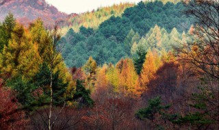 香山在哪个省 香山位于哪里