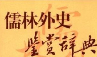 儒林外史读书赏析36回40回 了解一下