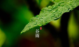 谷雨节气的介绍 谷雨节气是什么