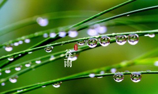 谷雨节气的诗词 4首谷雨节气的诗词