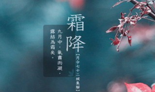 霜降节气介绍 这个介绍很全面