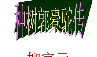 种树郭橐驼传文言知识 你背到种树郭橐驼传这篇文章了吗