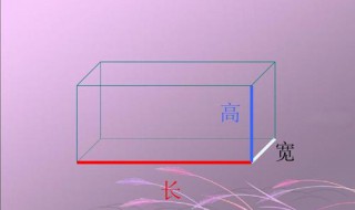 长方体有4组长宽高对吗 叫你如何解析