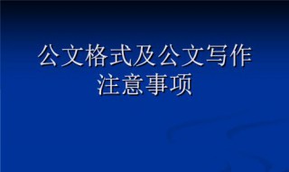 公文写签发人的格式 公文格式中签发人是指什么