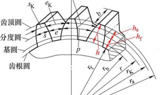 控制测量基准线和基准面是什么? 区分控制测量基准线和基准面