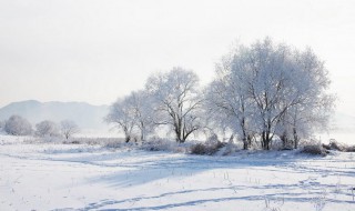 鹅毛纷飞里天地共白头什么意思 这句话源自哪里